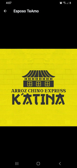 Logo-Arroz-chino-express-katina